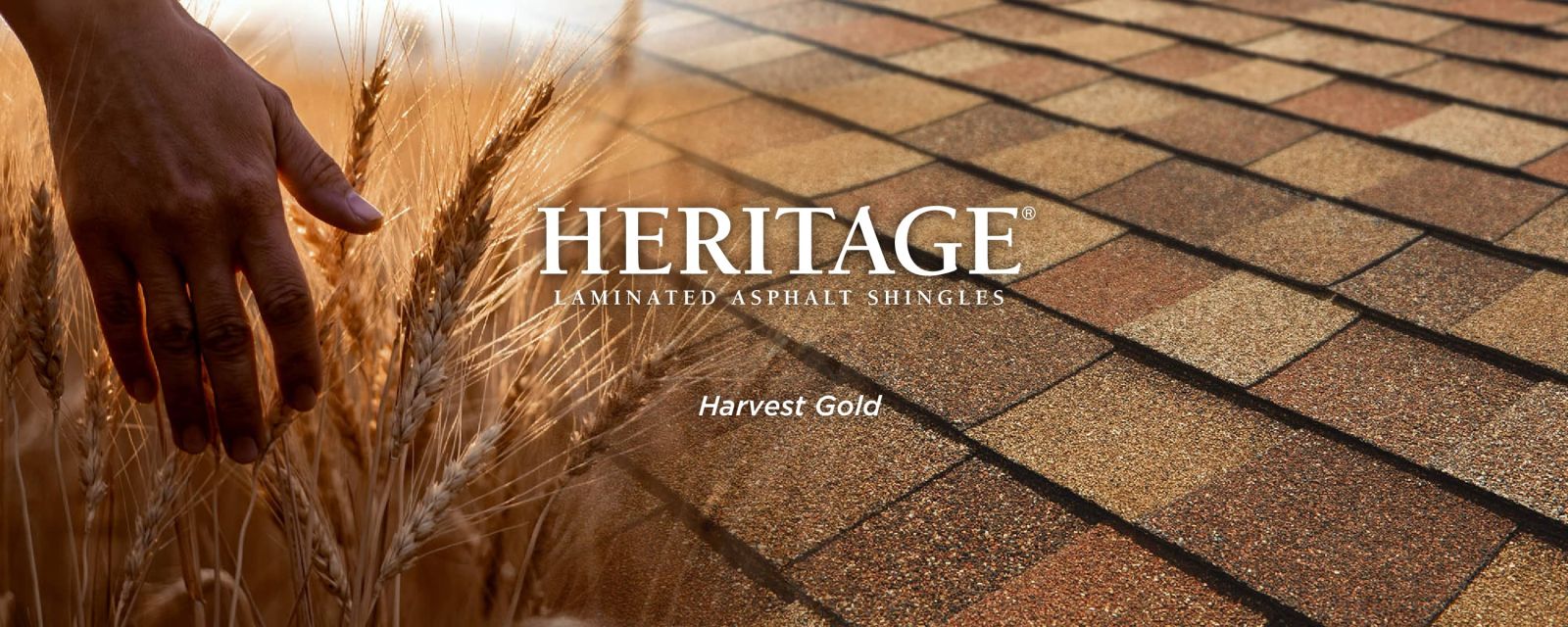 All American Roofing & Siding Images