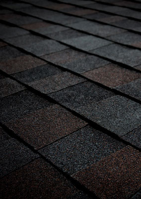All American Roofing & Siding Images