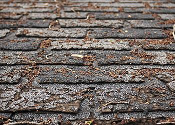 All American Roofing and Siding Images